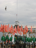 Shrimp Boat - Sneads Ferry